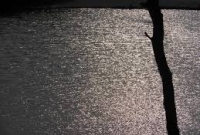 সাত ভাই চম্পার আলো আধার এবং