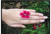  প্রেমিকের বাড়িতে এক রাত প্রেমিকার