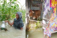  ‘বন্যায় আমরা হাবু-ডুবু খাইতাছি, আমাগোরে দ্যাহুনের কেউ নাই’