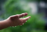 ফোঁটা  ফোঁটা অশ্রু