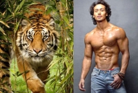 ইনি যেভাবে ‘টাইগার’ হলেন, এত দিনে ফাঁস নামের আসল রহস্য