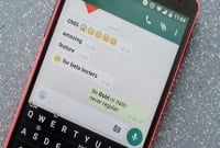 এভাবেই নাকি হোয়াটসঅ্যাপের গোপনীয়তা ভাঙা যায়!