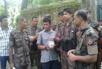 বুলেটপ্রুফ বয়ামে ১২ কোটি টাকার কোবরা সাপের বিষ বুলেটপ্রুফ বয়ামে ১২ কোটি টাকার কোবরা সাপের বিষ