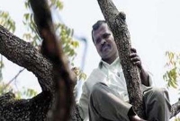 উচুঁ গাছে উঠে চাকরিপ্রার্থীদের আত্মহত্যার হুমকি!