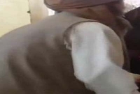 ছাগলের বিনিময়ে ৬ বছরের মেয়েকে ৫৫ বছরের বুড়োর কাছে বেচে দিল বাবা!