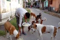 টানা ২৫ বছর অলিগলিতে, বিয়ের আগে পাত্রীর সঙ্গে চুক্তিপত্র!