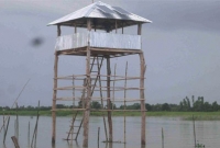 ডাকাত আতঙ্ক, পাহারা দিতে ওয়াচ টাওয়ার ডাকাত আতঙ্ক, পাহারা দিতে ওয়াচ টাওয়ার