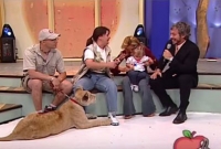 লাইভ টিভি অনুষ্ঠানে হঠাৎ শিশুকে আক্রমণ করল সিংহ, কি ঘটল তারপর?