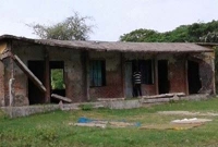 শিয়াল-কুকুরের দখলে স্কুল, মুরগির খামারে ক্লাস!