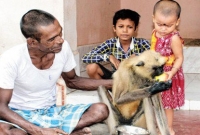 হনুমানের হইল জ্বর, সারল প্যারাসিটামলে!