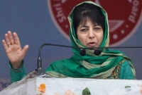 'বন্দুক আমাদের সুবিচার দিতে পারবে না'