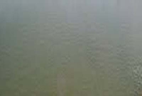 স্ত্রীর ধাওয়া খেয়ে নদীতে ঝাঁপ দিয়ে স্বামীর মৃত্যু