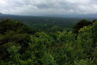 যে জঙ্গলে গেলে আর ফিরে আসা যায় না!