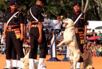 মরণোত্তর শহীদ সম্মান পেল ‘মানসী’