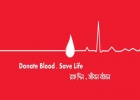 রক্ত দেওয়ার আগে এই ৫টি বিষয় মাথায় রাখুন