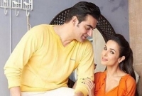 ভেঙেই গেল আরবাজ-মালাইকার সম্পর্ক!