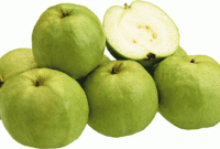 মাত্র ১টি পেয়ারা বদলে দিতে পারে আপনার জীবন!