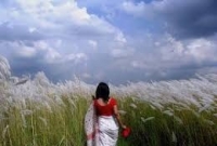 ভালোবাসি তাহারে