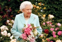 এবার রানির বাগানের মালি চেয়ে বিজ্ঞাপন, আপনিও করতে পারেন আবেদন