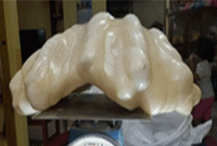 ৩৪ কেজি ওজনের একটি মুক্তা পেয়েছেন হতদরিদ্র এক জেলে