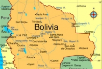 বলিভিয়ায় উপ-স্বরাষ্ট্রমন্ত্রীকে পিটিয়ে মারলো শ্রমিকরা