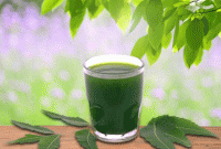 আর মারামারি নয়, স্কুলে দুষ্টামি করলেই খেতে দেয়া হবে নিমের রস!