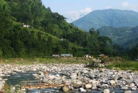 মাটি থেকে ৫১০০ ফুট উপরে শান্ত সবুজের এই সাম্রাজ্য