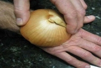 মাত্র এক মিনিট একটি পেঁয়াজ ঘষুন শরীরে, পাবেন অবিশ্বাস্য সব উপকার