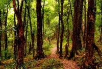 পাহাড়ের কোলে এক অনন্য শান্তির নিড়