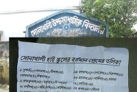 দেয়ালে দেয়ালে পোস্টারে ছেয়ে গেছে প্রেমিক-প্রেমিকাদের নাম!