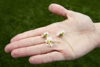 হাতের আঙুল দেখে মানুষ চিনবেন কীভাবে? জেনে নিন