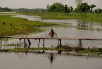 ব্রাজিলকে হারিয়ে গিনেজ বুকে জায়গা পেল যে গ্রাম