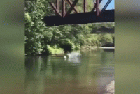 নিছক মজা করেই নাকি ঘটানো হয় এই ভয়ঙ্কর কাণ্ডটি!