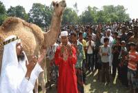 জেনে নিন, কোরবানির ইতিহাস  