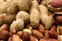 বাদাম দিয়ে কী তৈরি হয় শুনলে খোসা ভাঙার সাহস পাবেন না!