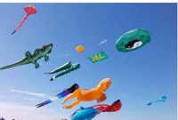 লাখ টাকার ঘুড়ি, দেখলে চমকে যাবেন!