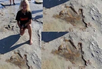 ১৩০ কোটি বছরের পুরনো পায়ের ছাপ আবিষ্কার!