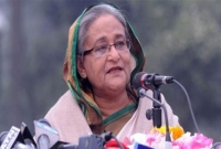 মানুষের জন্য কান্না নেই, রয়েল বেঙ্গল টাইগারের জন্য কাঁদছে : প্রধানমন্ত্রী