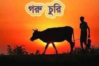 ঈদের আগে গরু চুরির হিড়িক