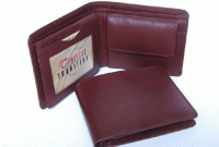 মানিব্যাগের রং-ই নির্ধারণ করে ধনভাগ্য, জানাচ্ছে ফেং শুই