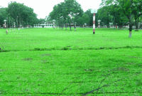 শোলাকিয়া ঈদগাহ ঘিরে চার স্তরের নিশ্ছিদ্র নিরাপত্তা