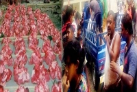 যে গ্রামে দেড় যুগ ধরে কোরবানিতে একই নিয়ম