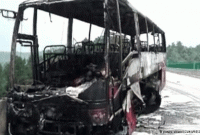 বিরিয়ানির প্লেট ১০০ টাকা, তাই ৪২টি বাসে আগুন দিল মহিলা বিক্ষোভকারীরা