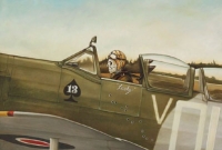 জেট এয়ারওয়েজের বিমান ওড়াল পাইলট ভূত! আসল গল্পটা কী?