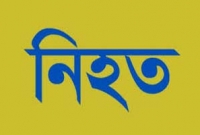 পালিয়ে বিয়ে, প্রেমিকার পরিবারের হামলায় প্রেমিকের ভাইয়ের মৃত্যু