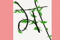 গর্ভে মৃত সন্তান নিয়ে ৫ দিন, মারা গেলেন মা