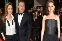 ব্র্যাঞ্জেলিনার বিচ্ছেদের নেপথ্যে অন্তঃসত্ত্বা এক ফরাসি অভিনেত্রী!