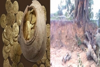 মাটি খুঁড়তেই পাওয়া যাচ্ছে সোনা!