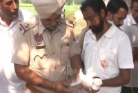 পাঞ্জাবের আকাশে ‘স্পাই’ পায়রা, রহস্য বাড়ছে ভারতে