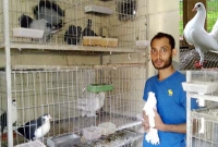কবুতরের মায়ায় যুক্তরাষ্ট্র গেলেন না শাওন! কবুতরের মায়ায় যুক্তরাষ্ট্র গেলেন না শাওন!
